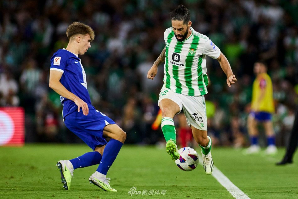 对手的努力 对手的努力